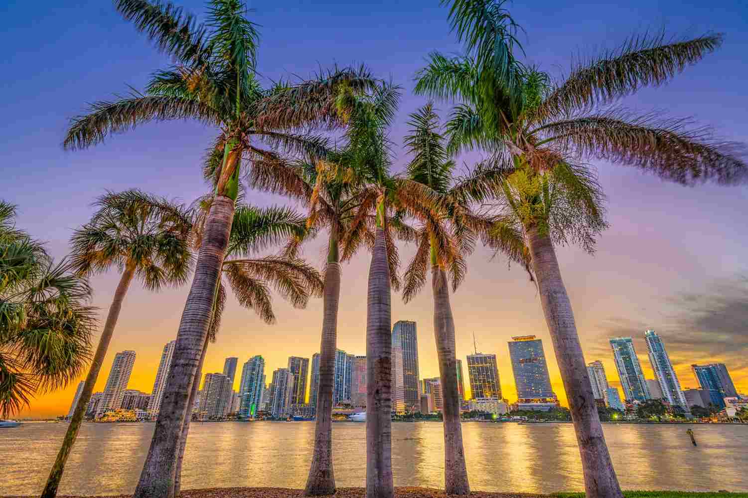 Departamento en miami con palmeras: Posesión Efectiva de Bienes en el Extranjero